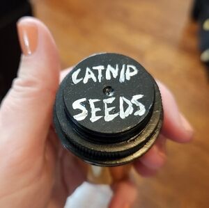 Catnip Seeds